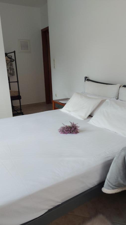 Apartament Fbm Anagenessis - Ευ Ζην Edesa Zewnętrze zdjęcie